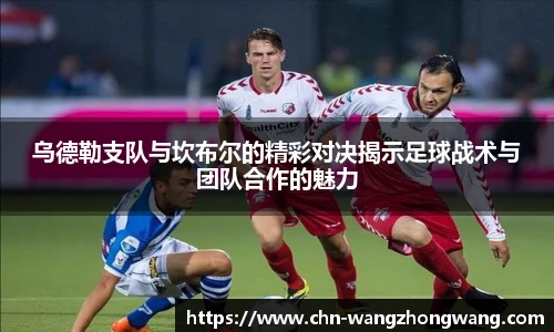 王中王官网资料